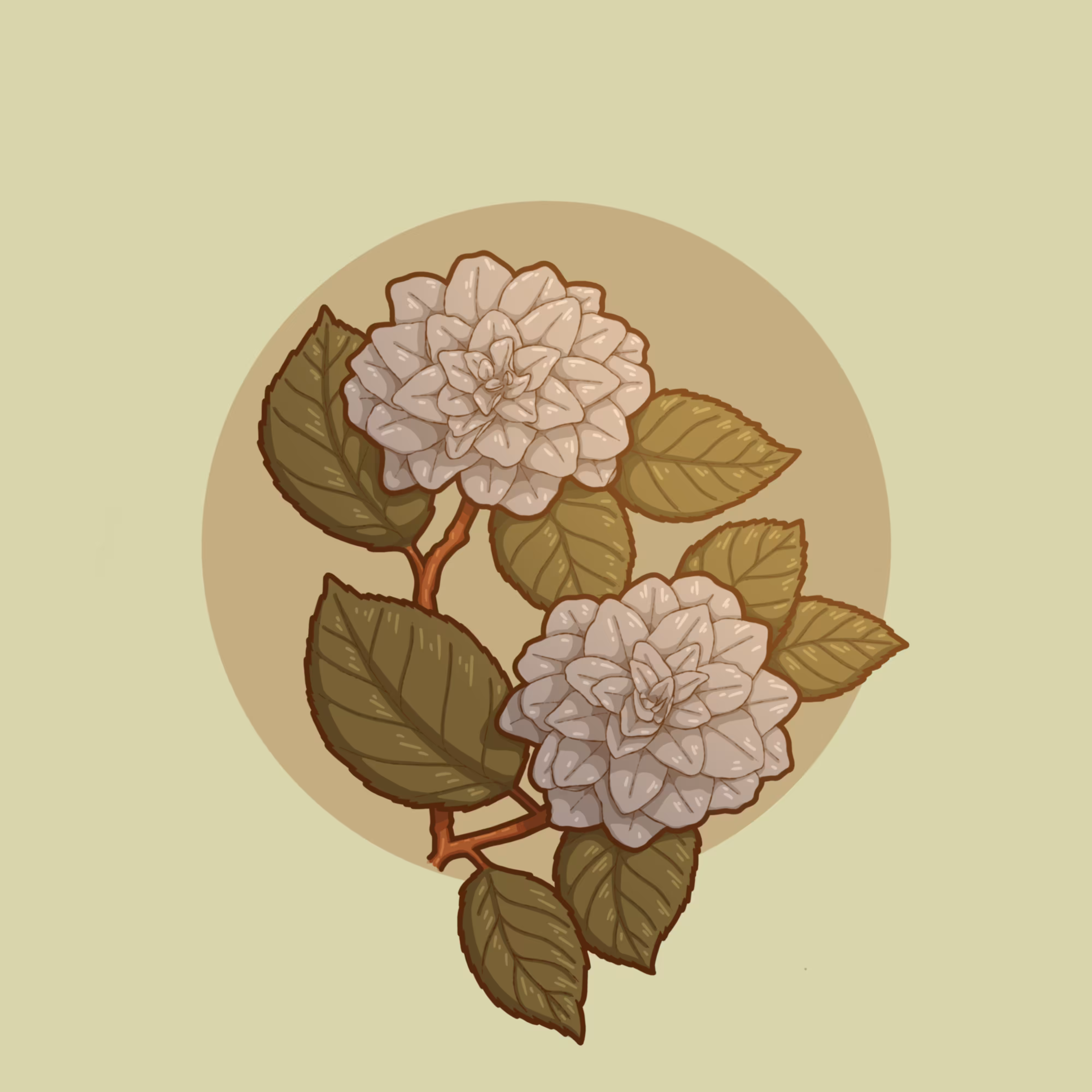 Camellias