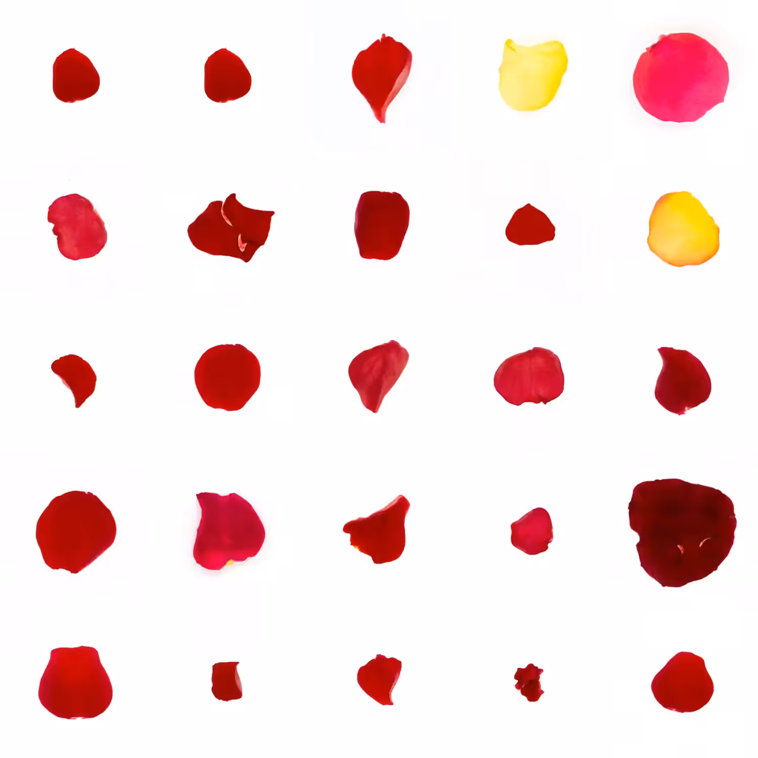 Infinite Petals 5x5#20930