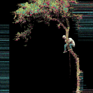 Tree Lock