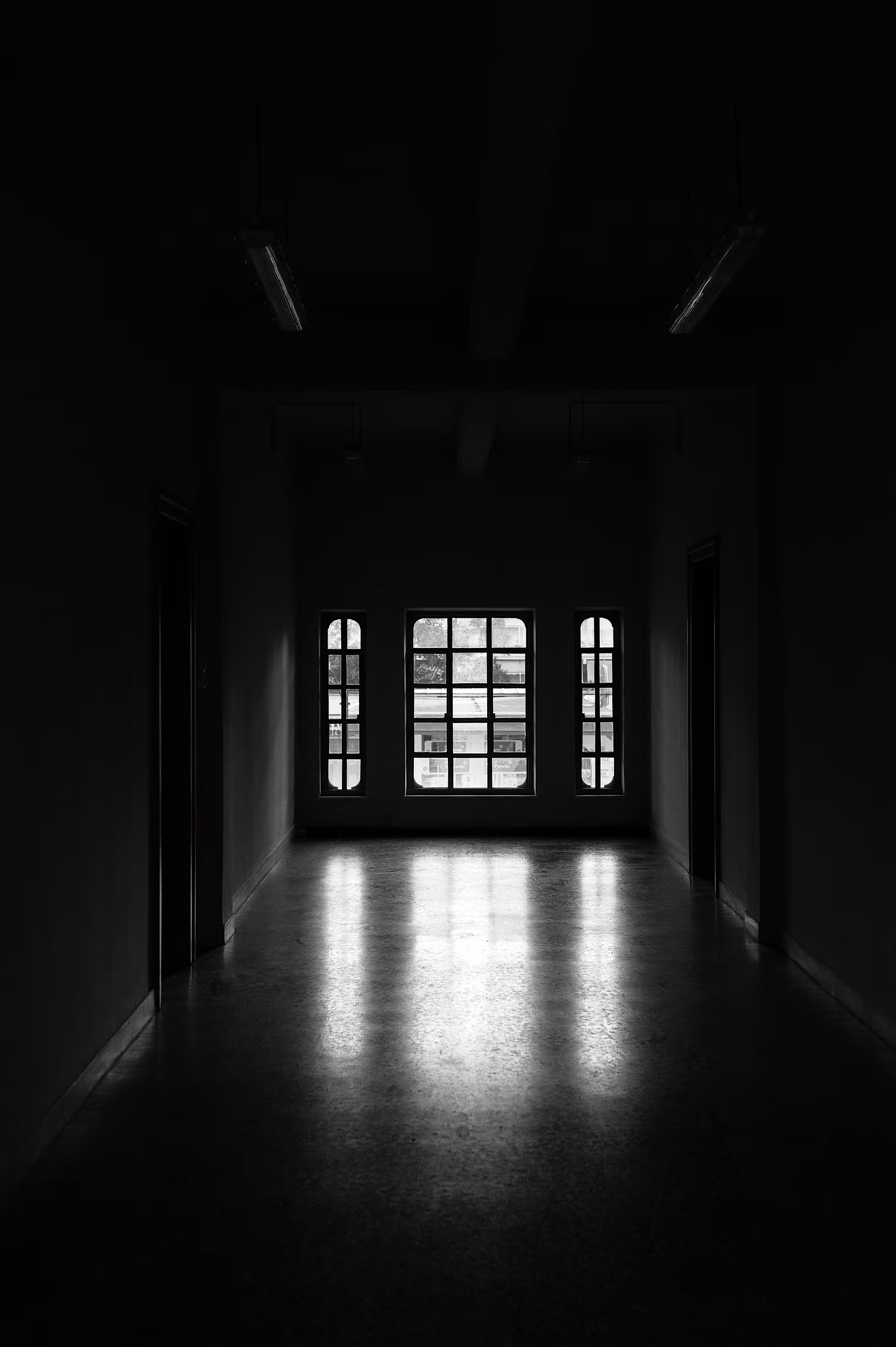 Asylum Days