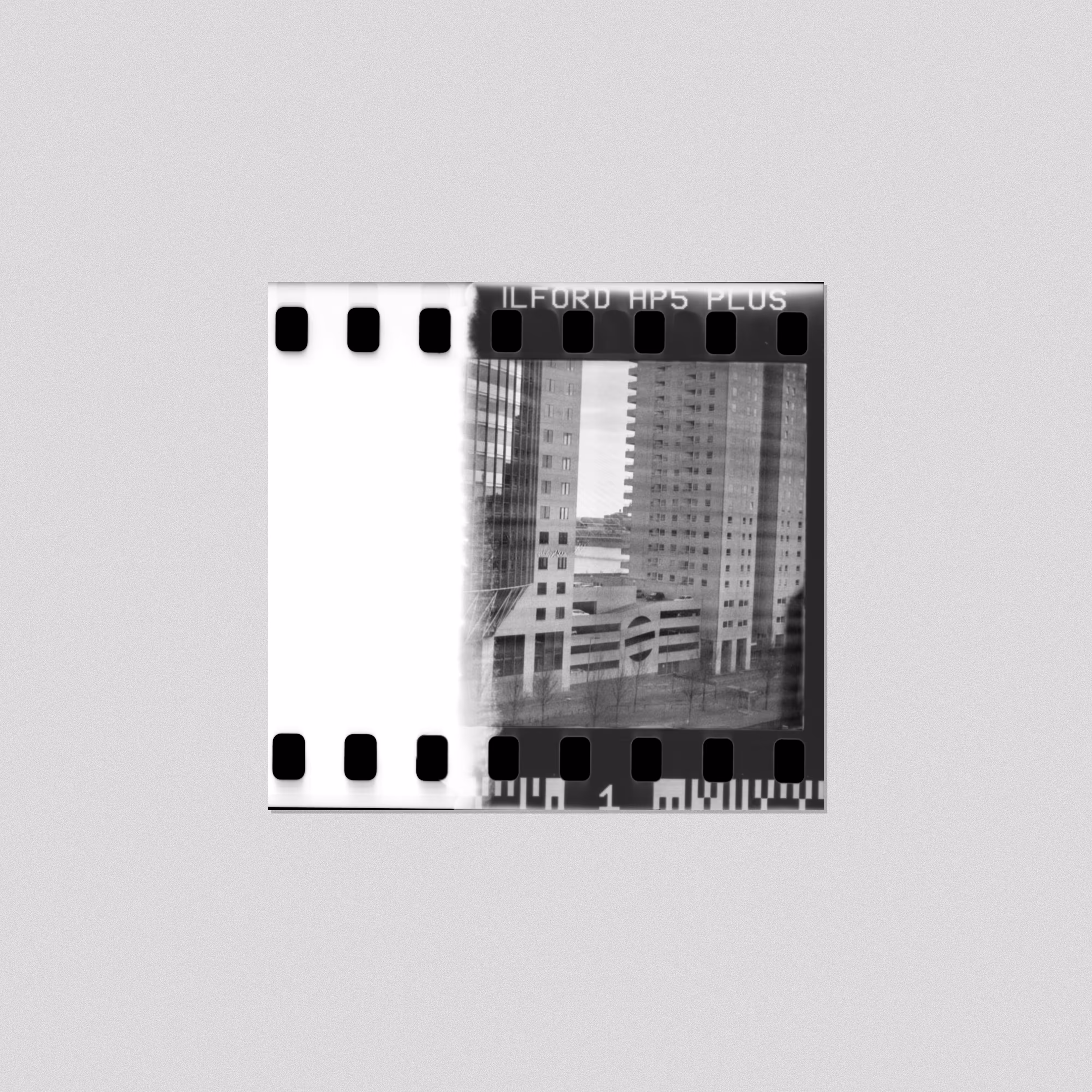 Forgottez #013