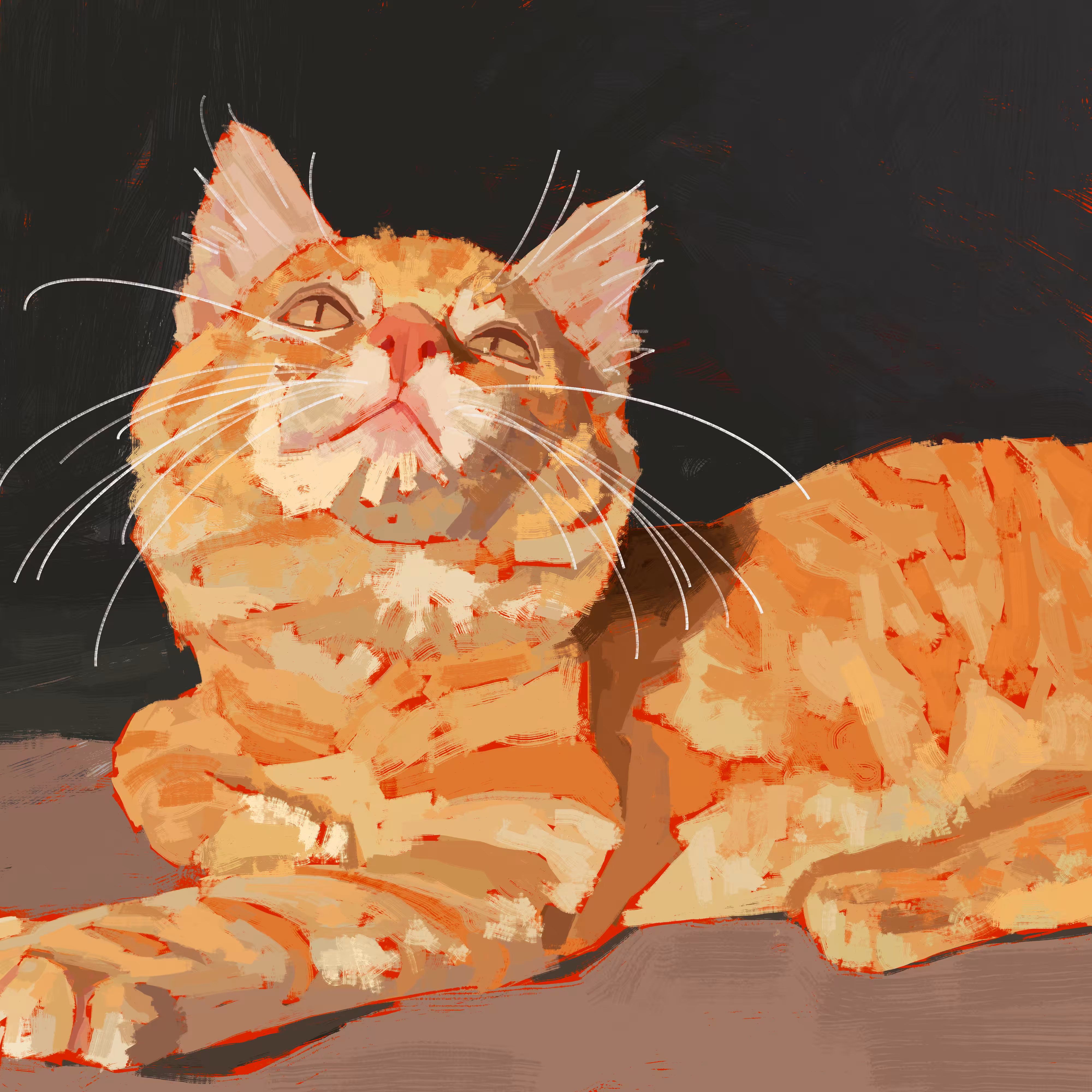 Cat #10