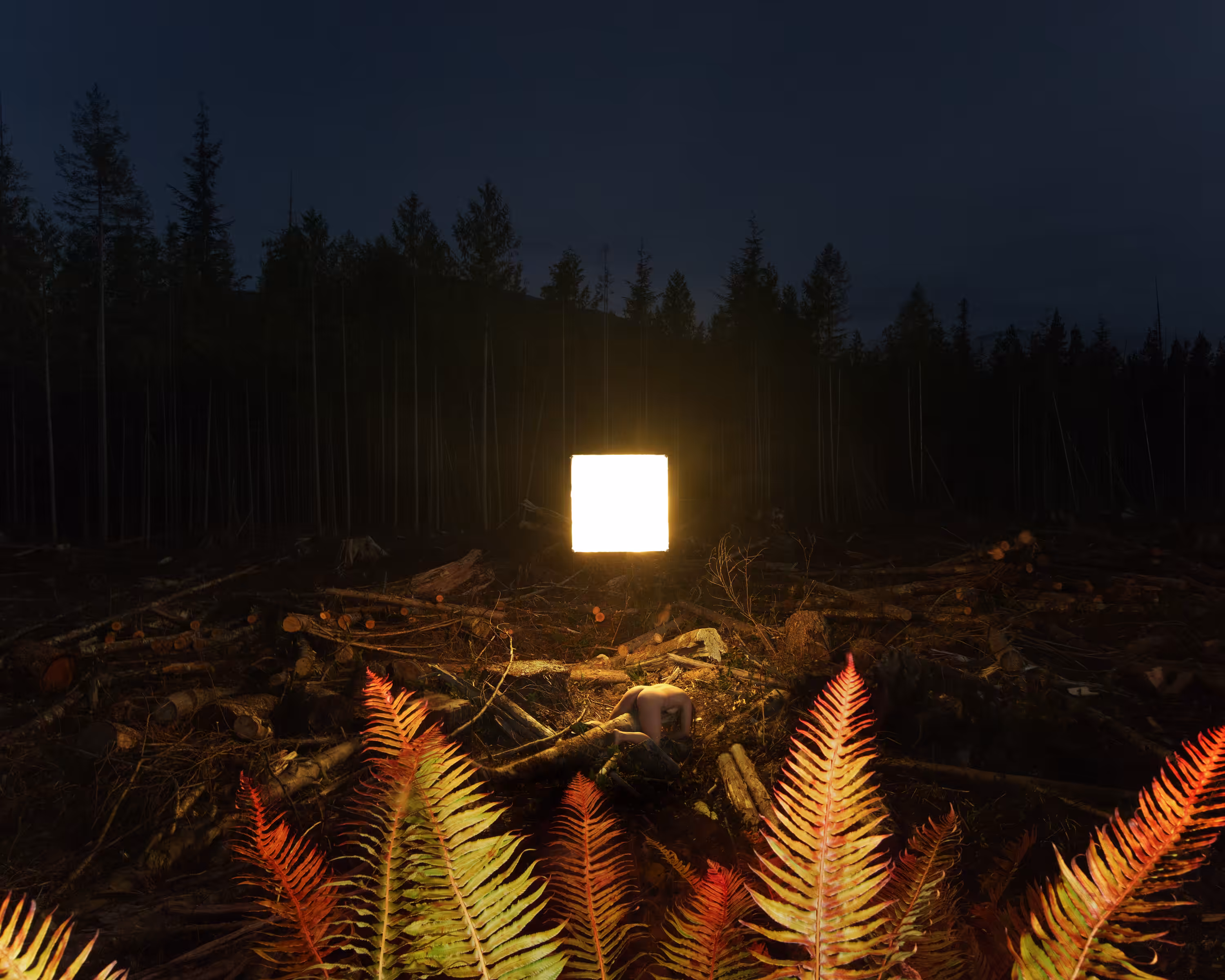 Alternative landscape 005,BC,2012