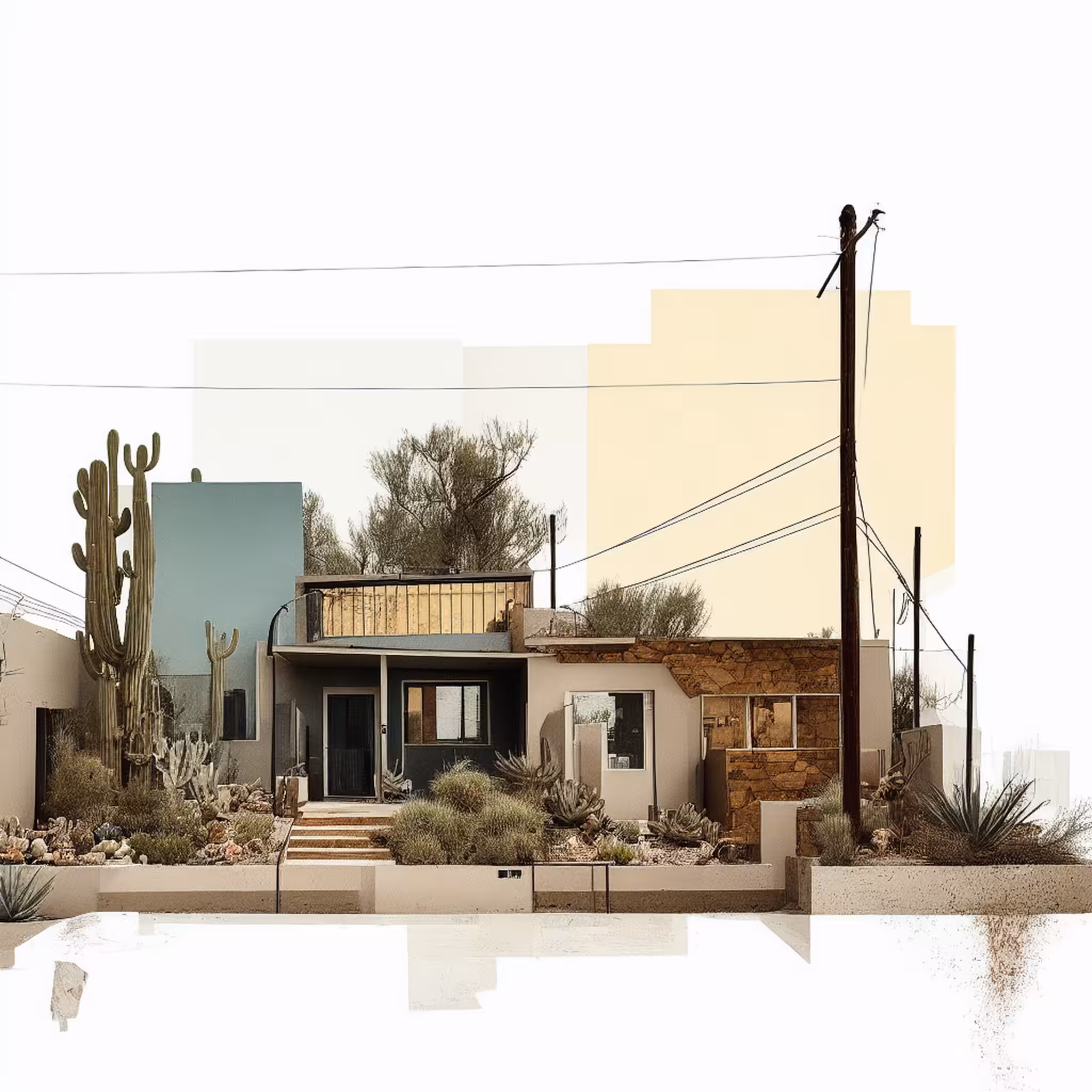 Desert Mornings #1
