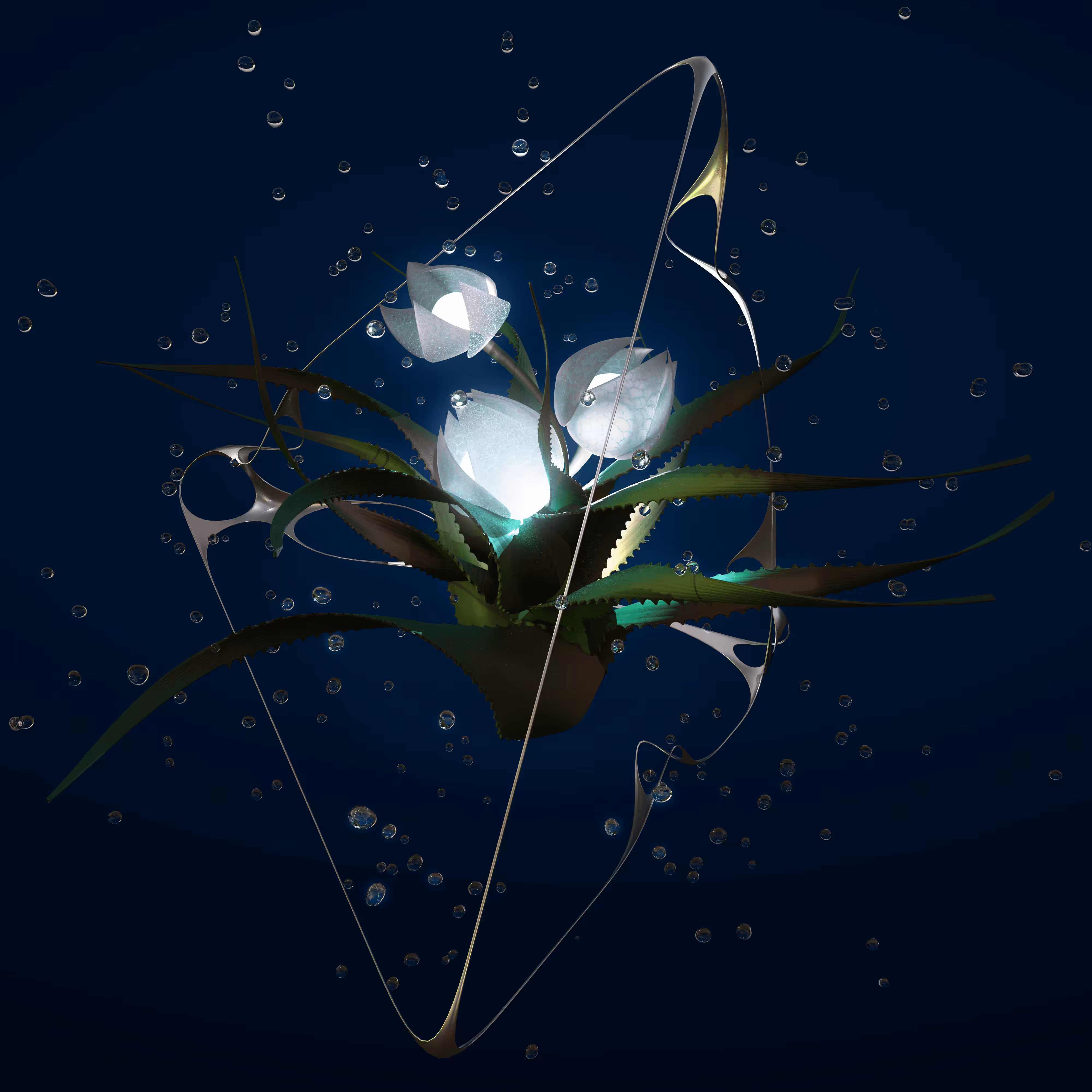 Campanulata Lumen