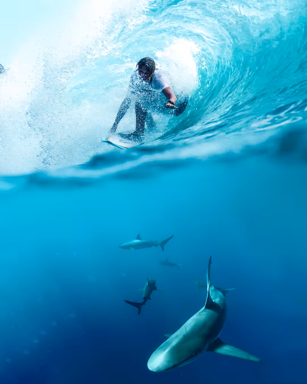 Surfing 