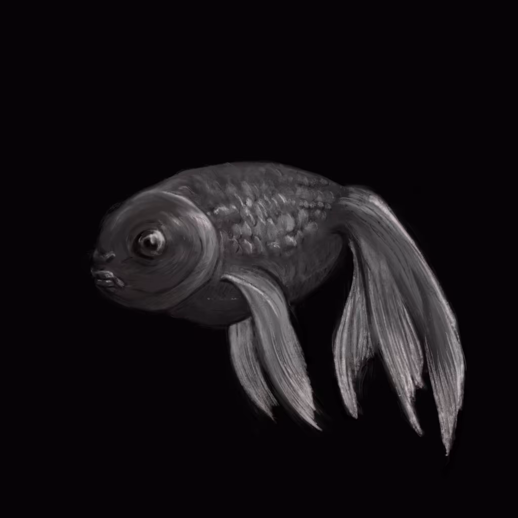 grey fish