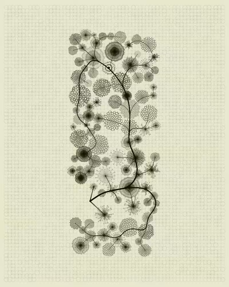 Florilegium #53