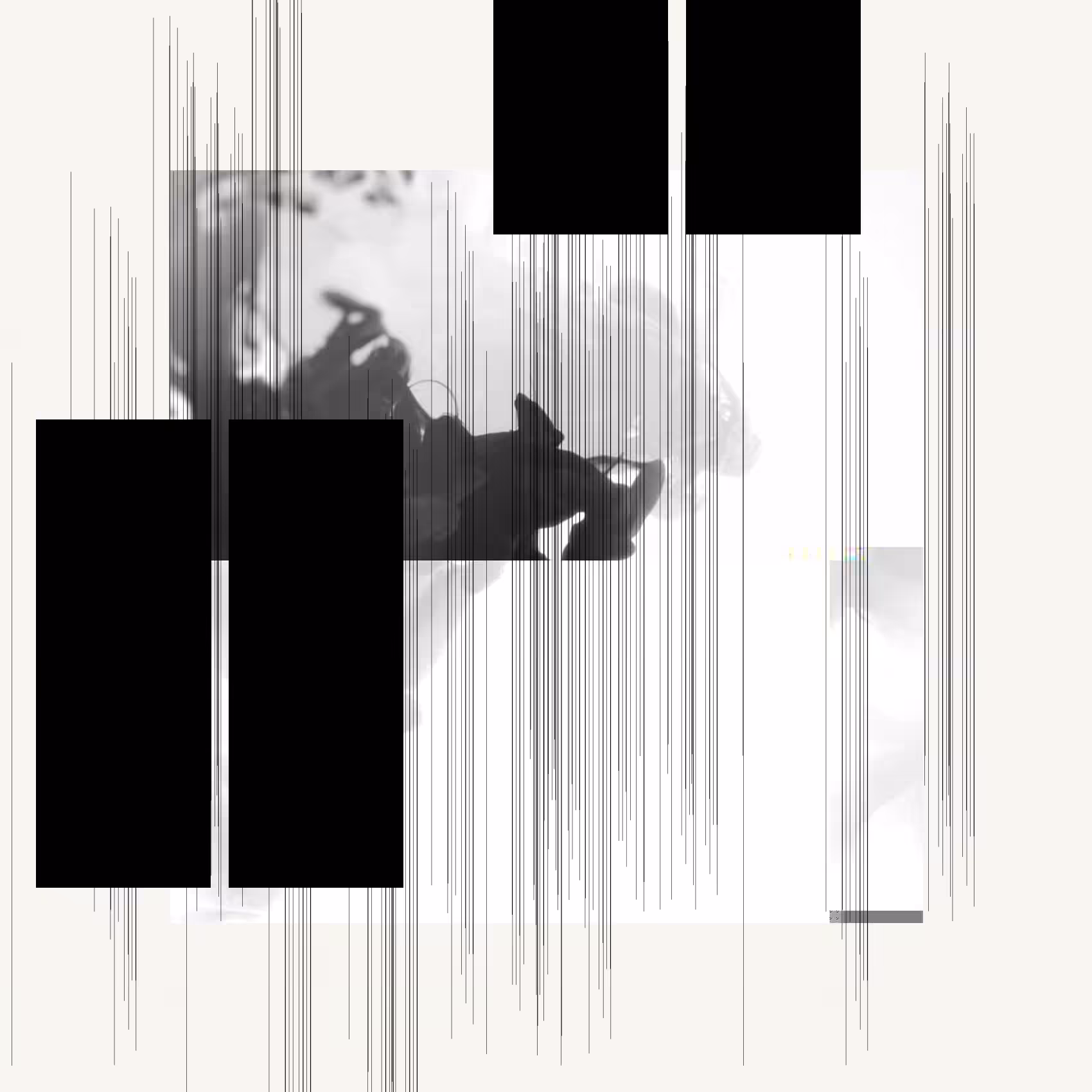Motions #10