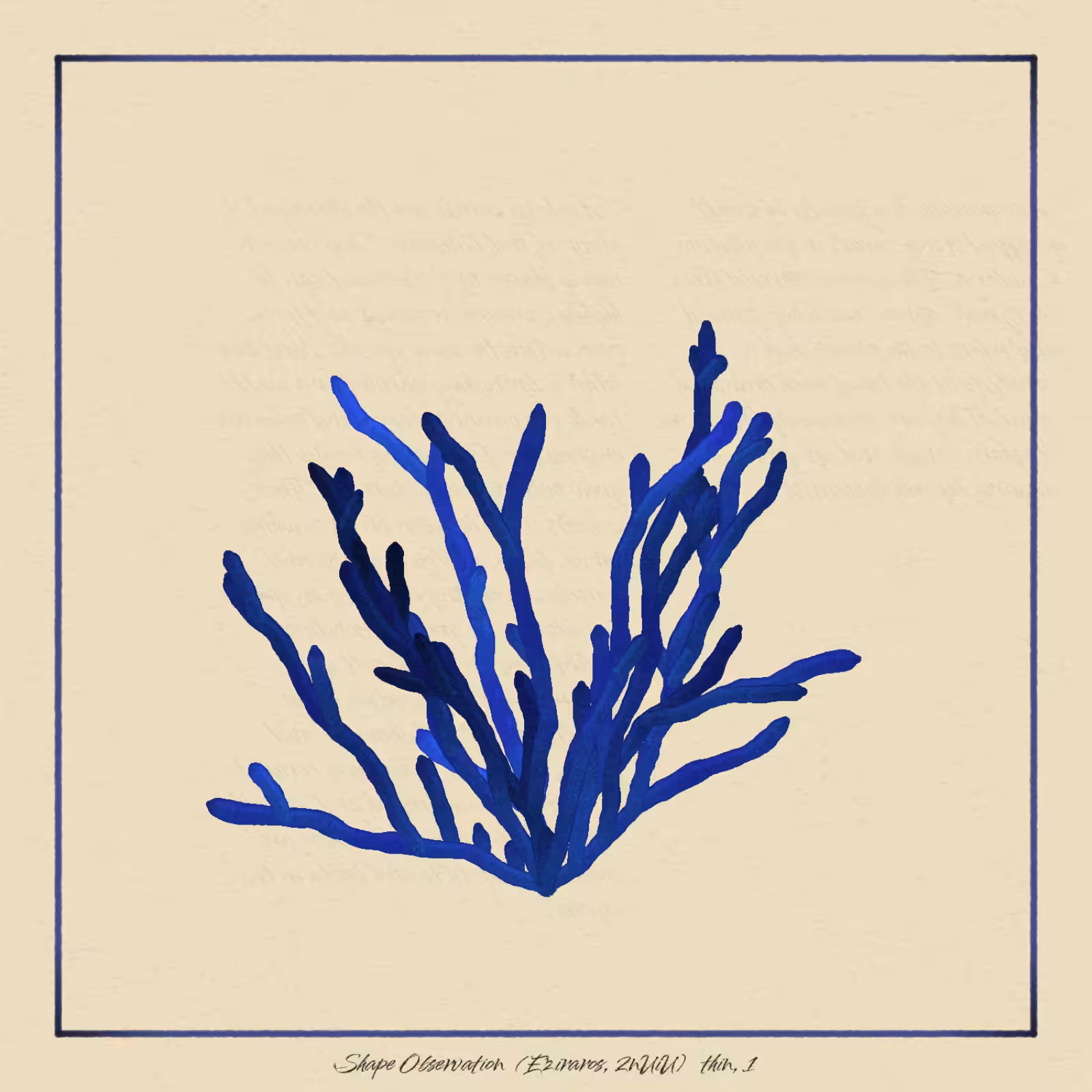 The Restoration Scheme: Shape Observation #78