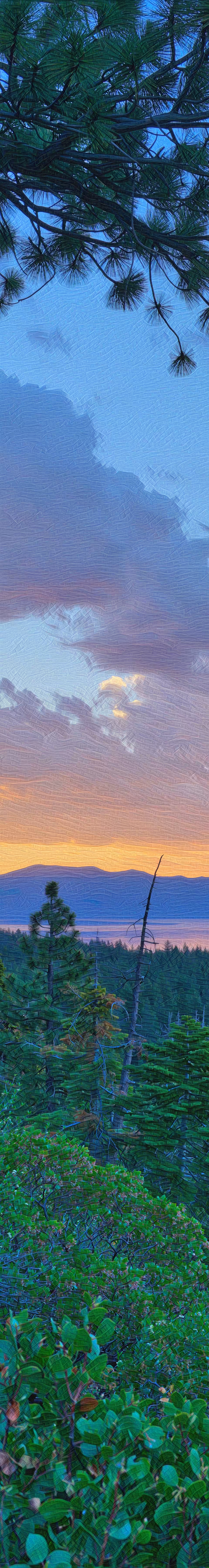 Tahoe City Dream Scroll (Lake Tahoe, CA) #1