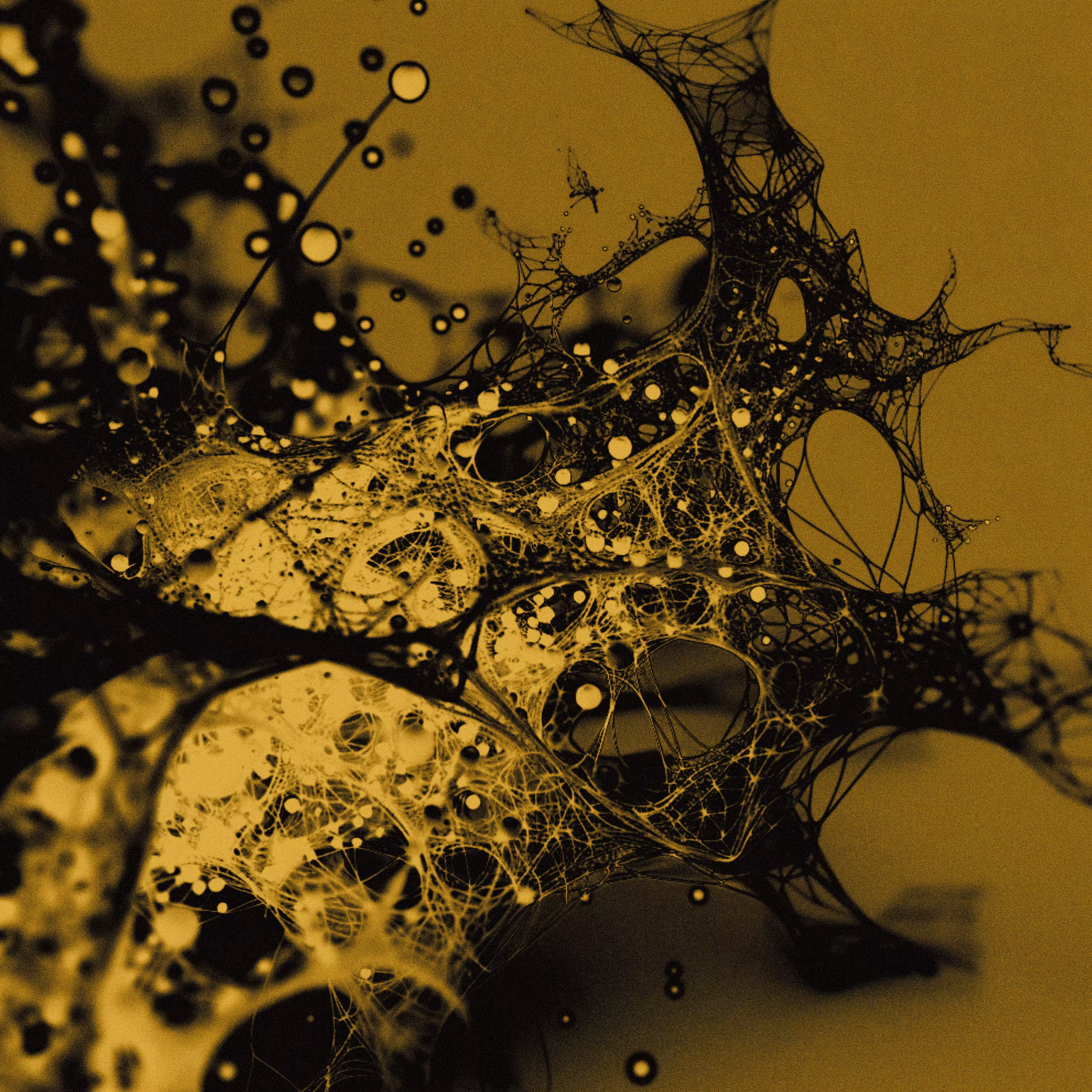 I speak abstract