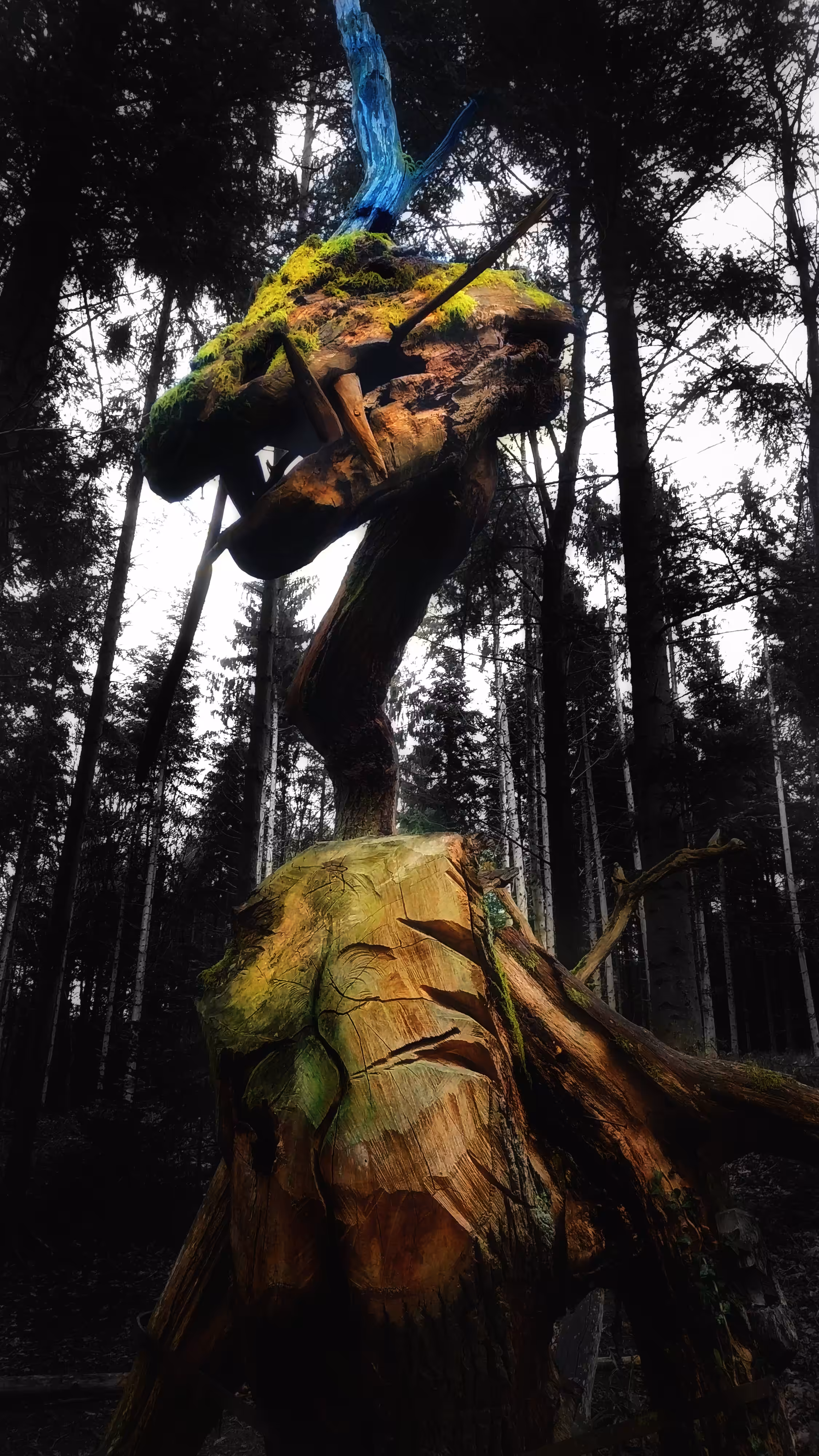 Dragon in the woods