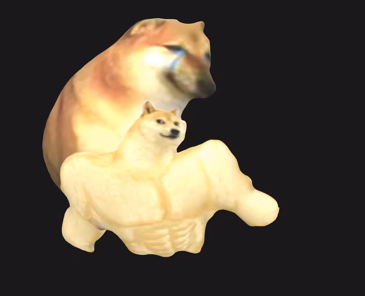 Inflatables memes of the future
