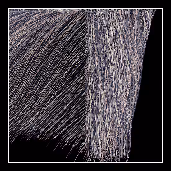 Behind the curtains #83