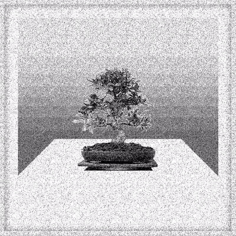 Bonsai Bonanza #820