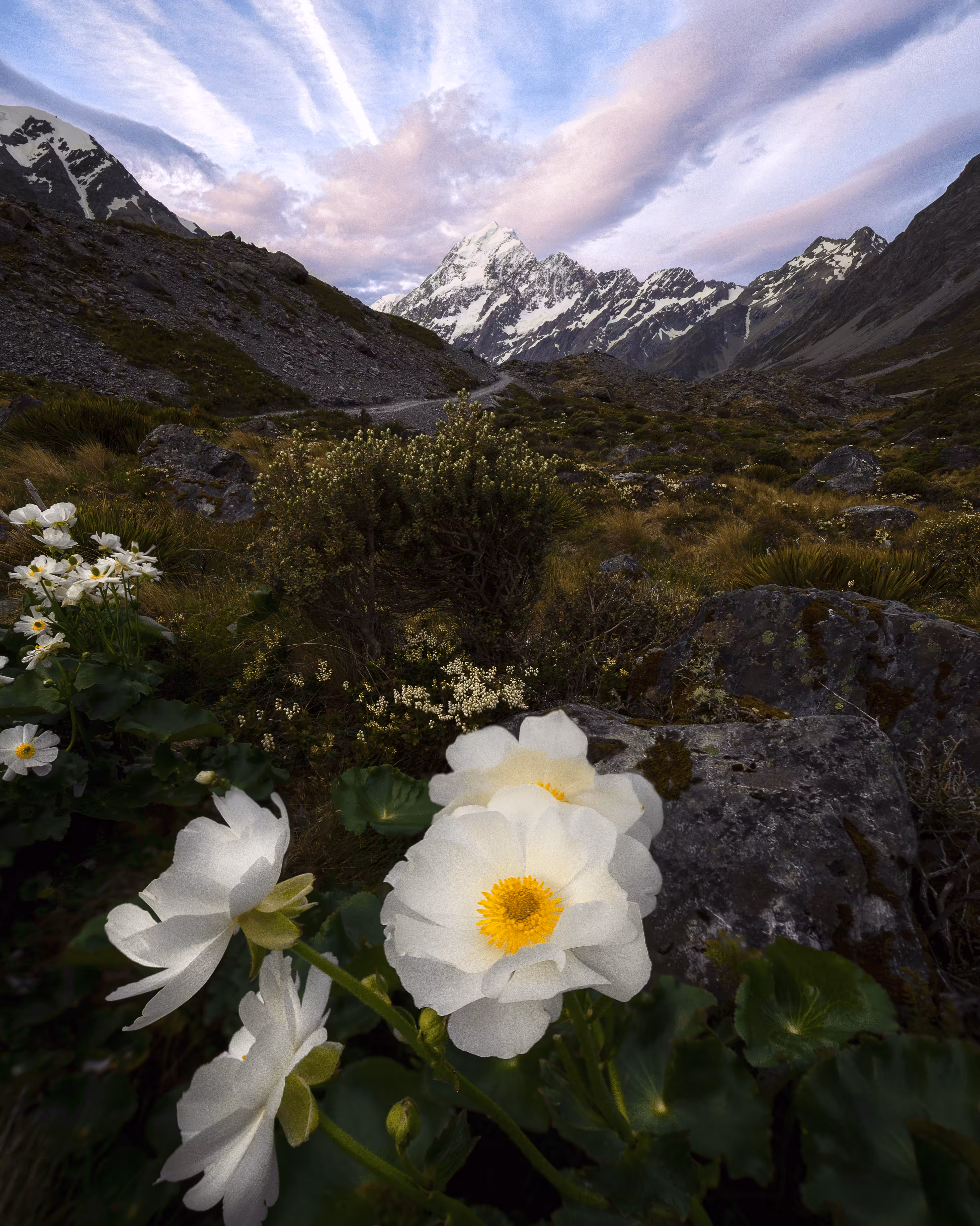 PALETTES OF AOTEAROA - THE PLACE OF GREENSTONE #22