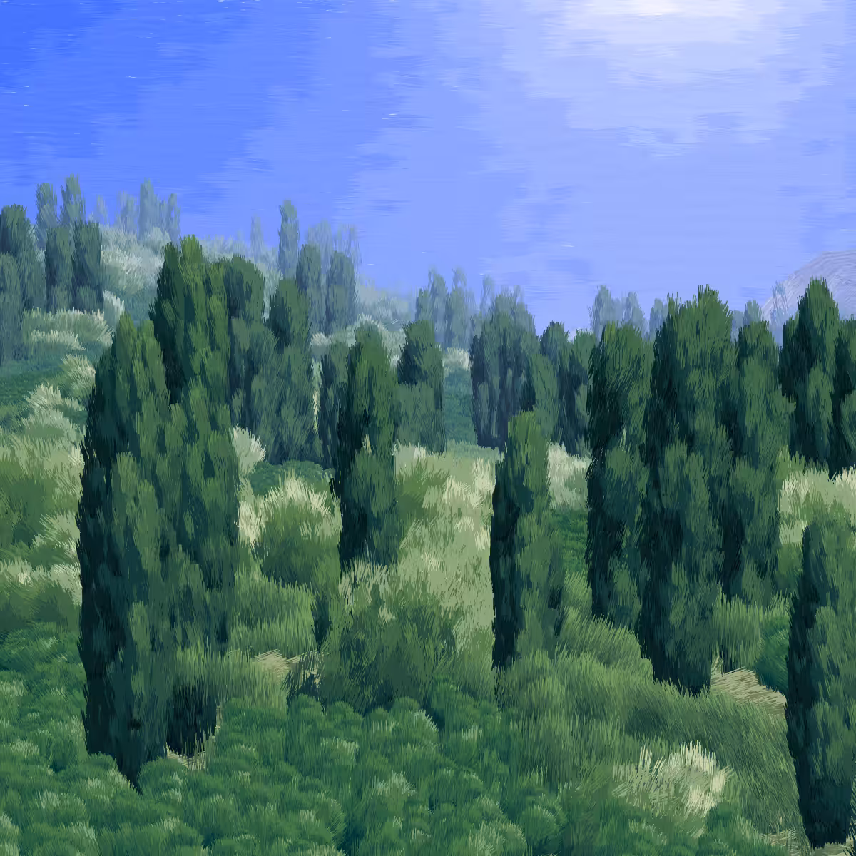 Provence #407