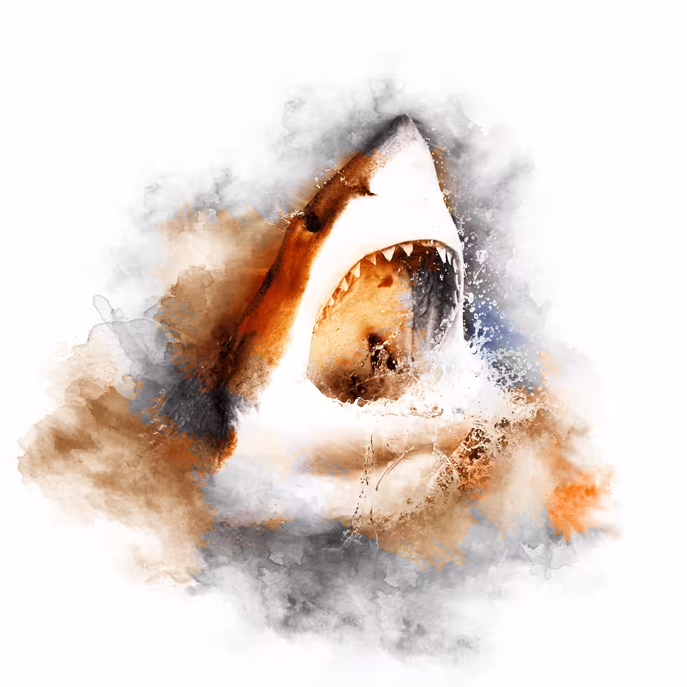 ORANGE SERIES - SHARK