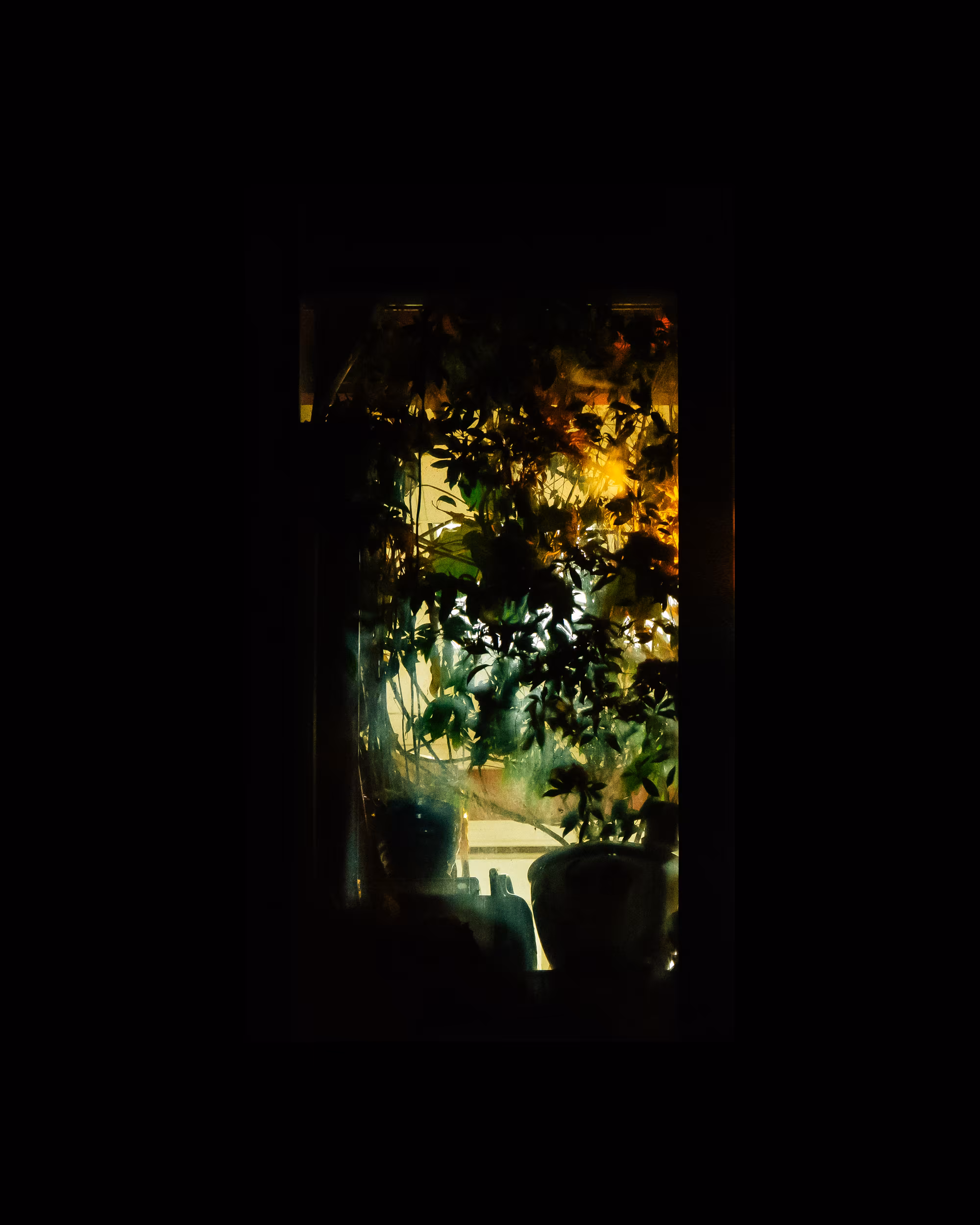 WINDOWS // NYC: WINDOW 703