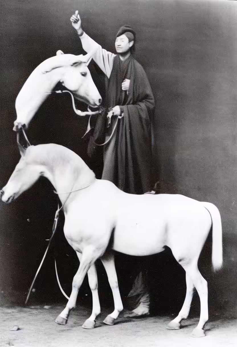 The Chinese Unicorn: Image Generated by di Giovanni's English Translation