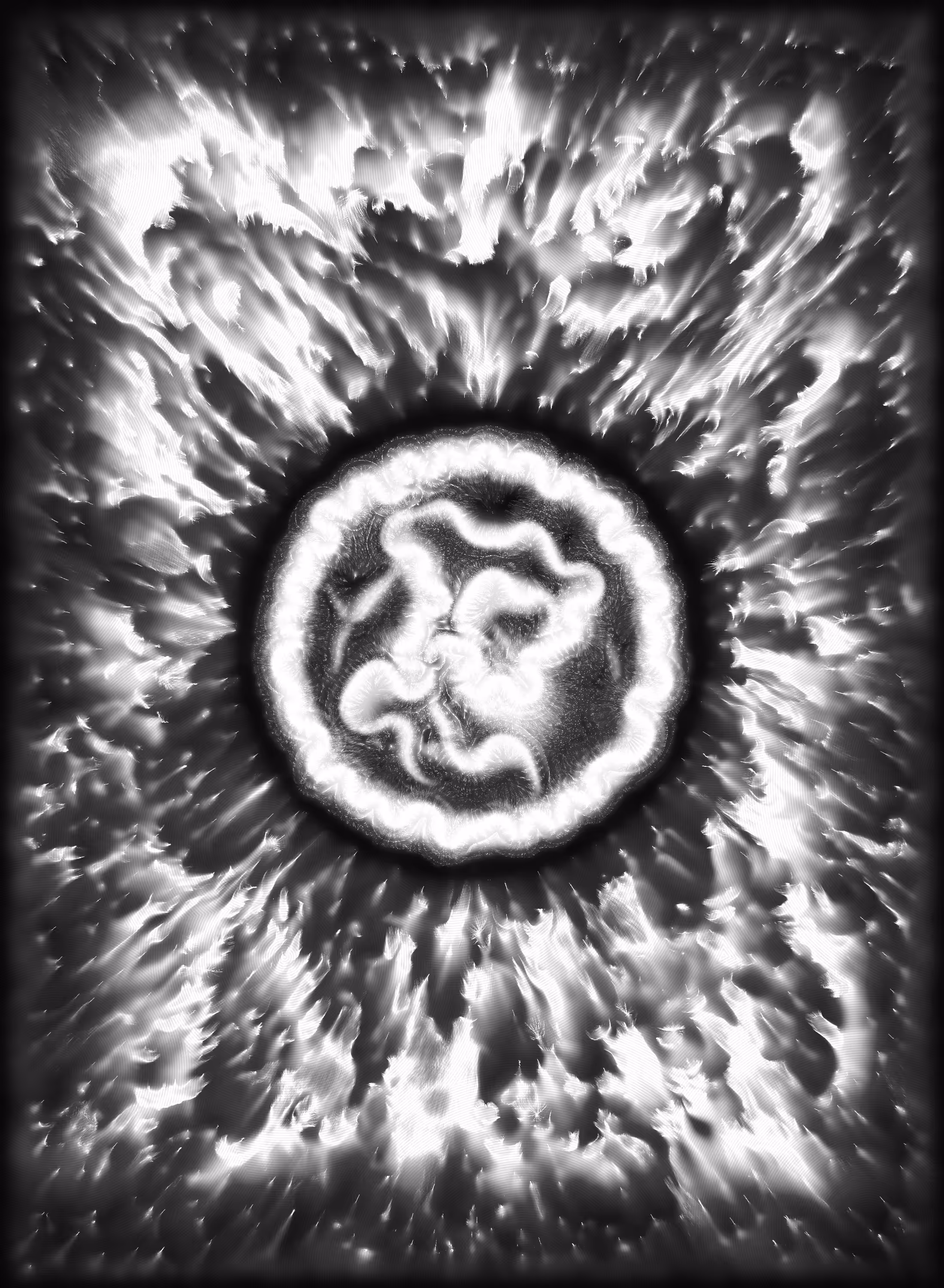 Holons #247