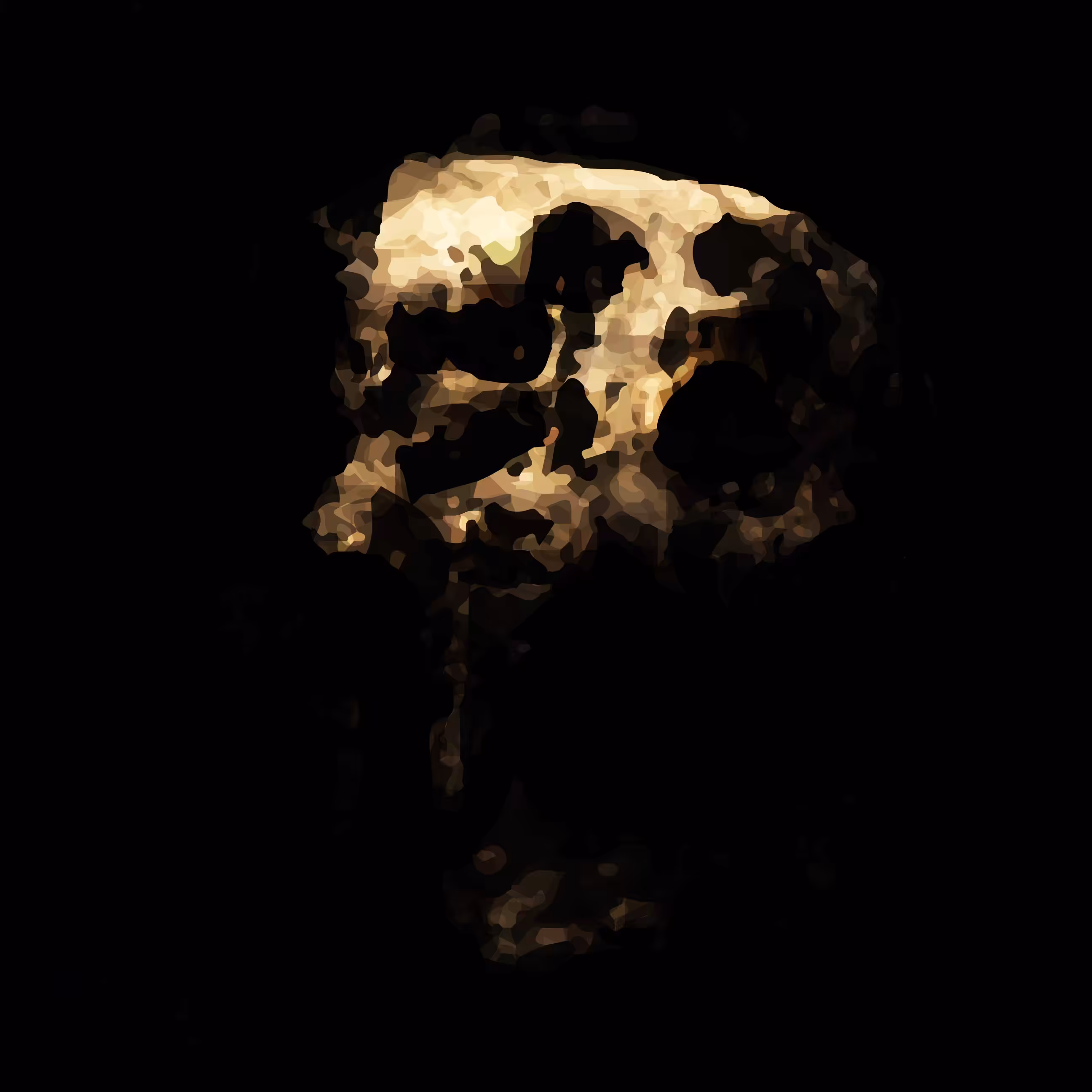 Skull 4.9