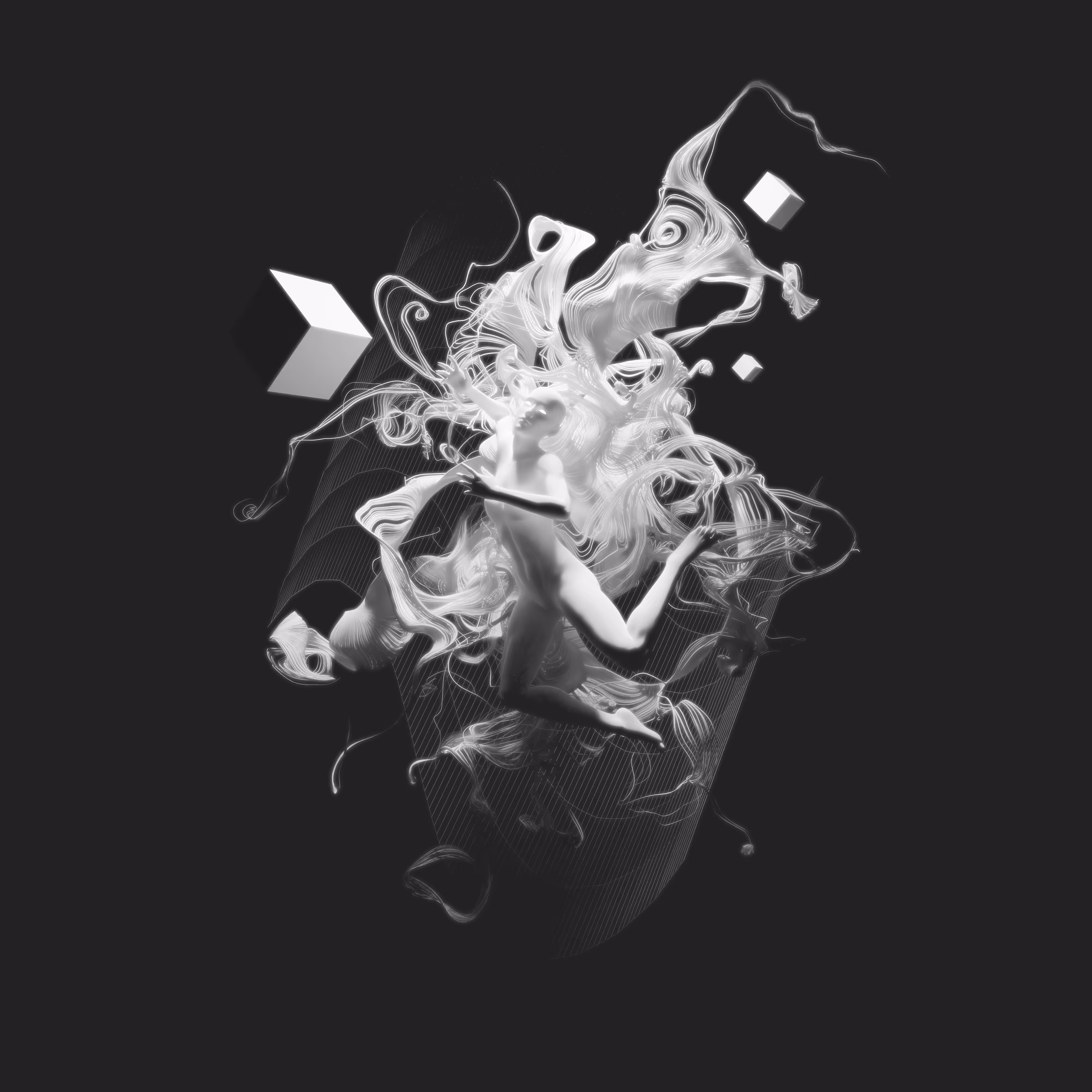 Data Dream: Distorter