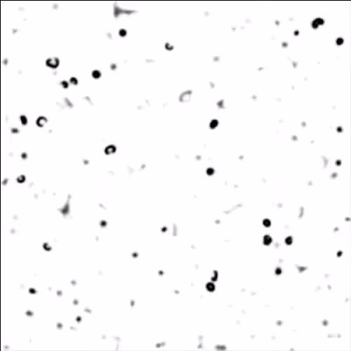 non-equilibrium bubbles: 9