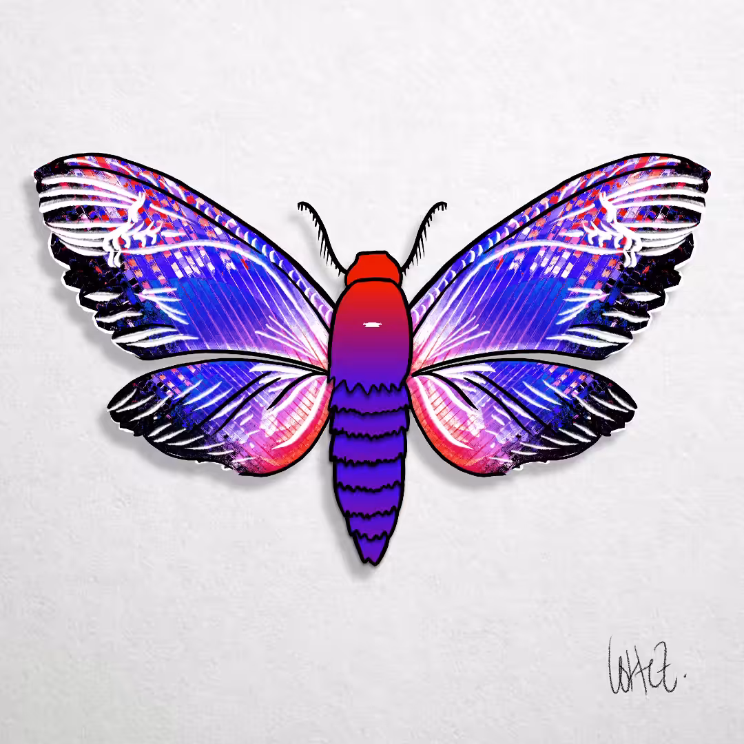 Crypto Moths (animated)