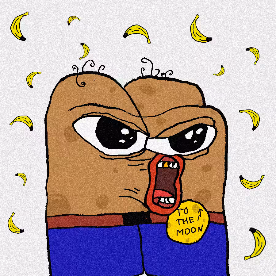 SPENGE #1147