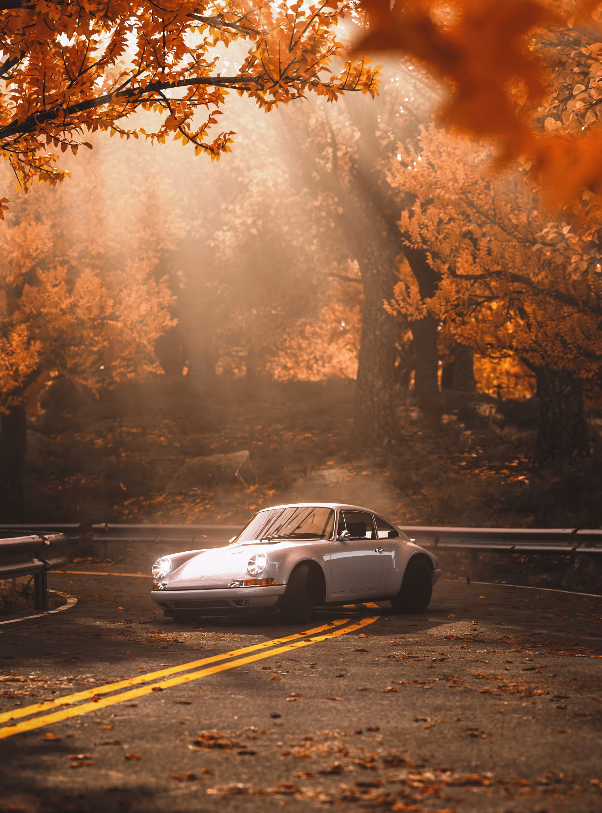 Autumn Porsche 