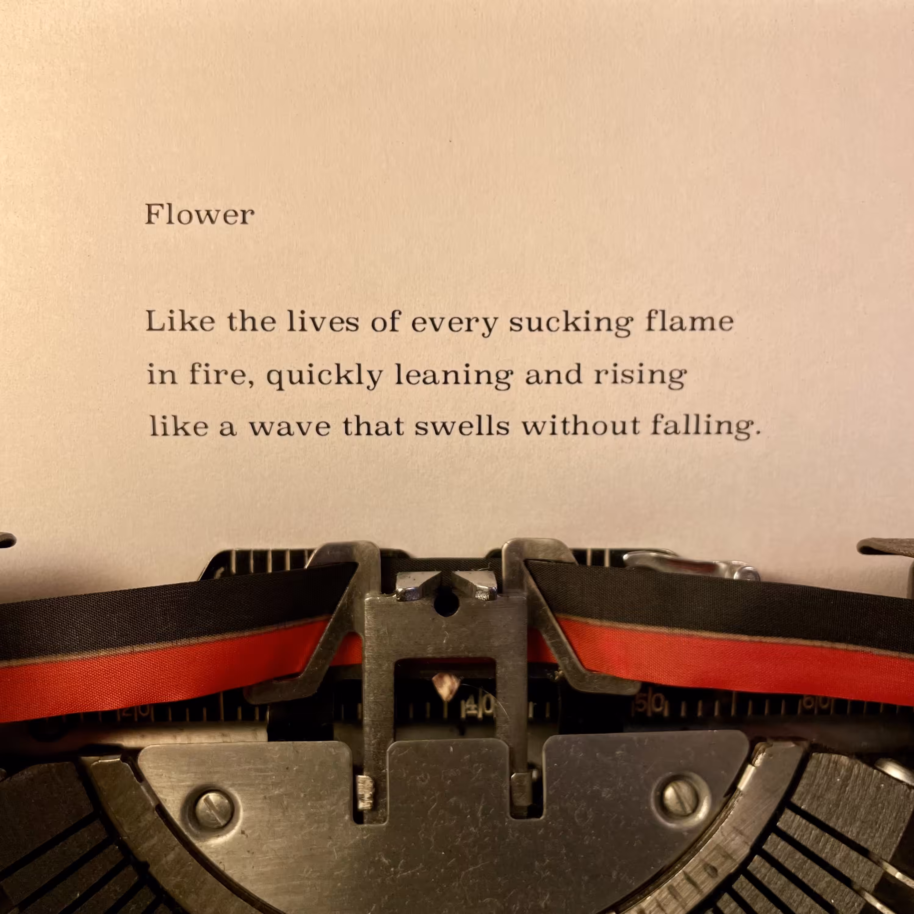 Flower