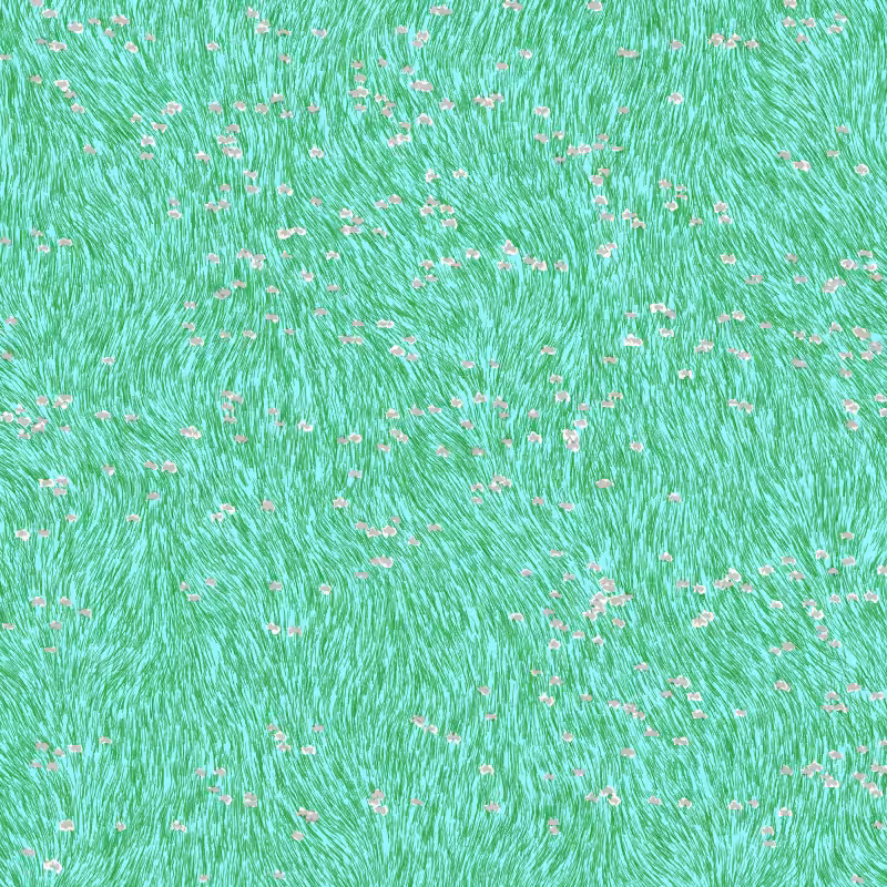 garden and grass #6