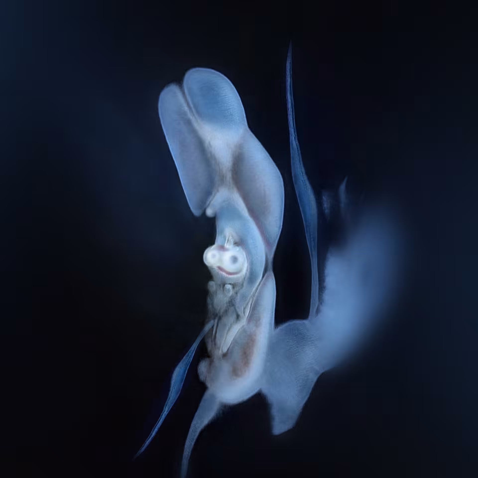 Sperma 66