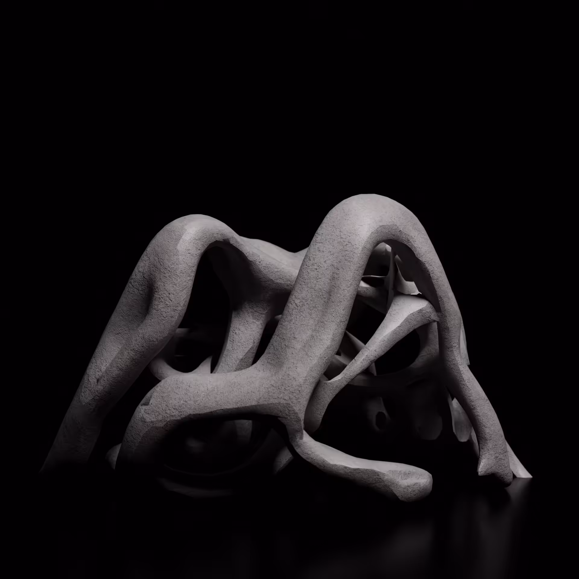 Cephalopod
