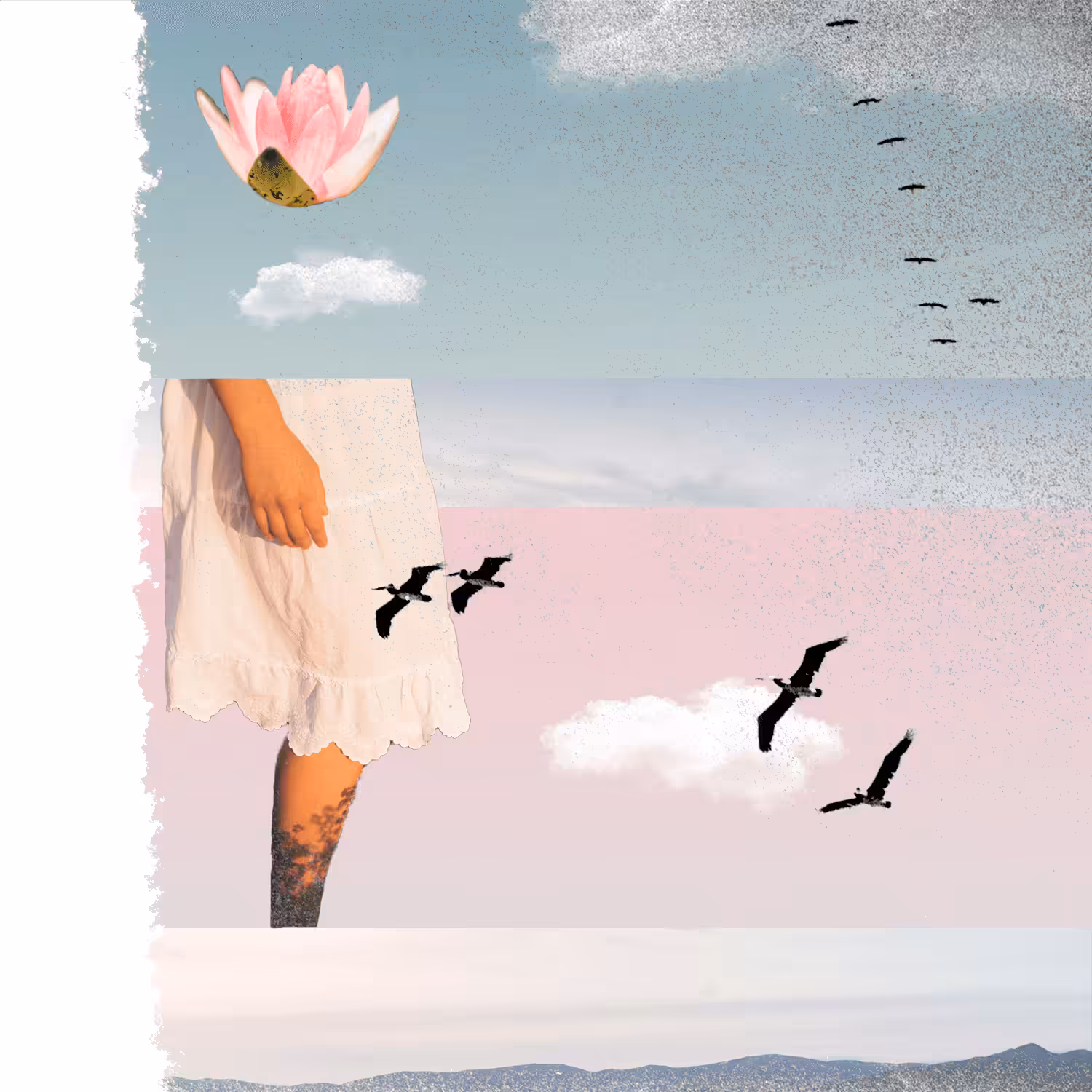 Morning Lotus