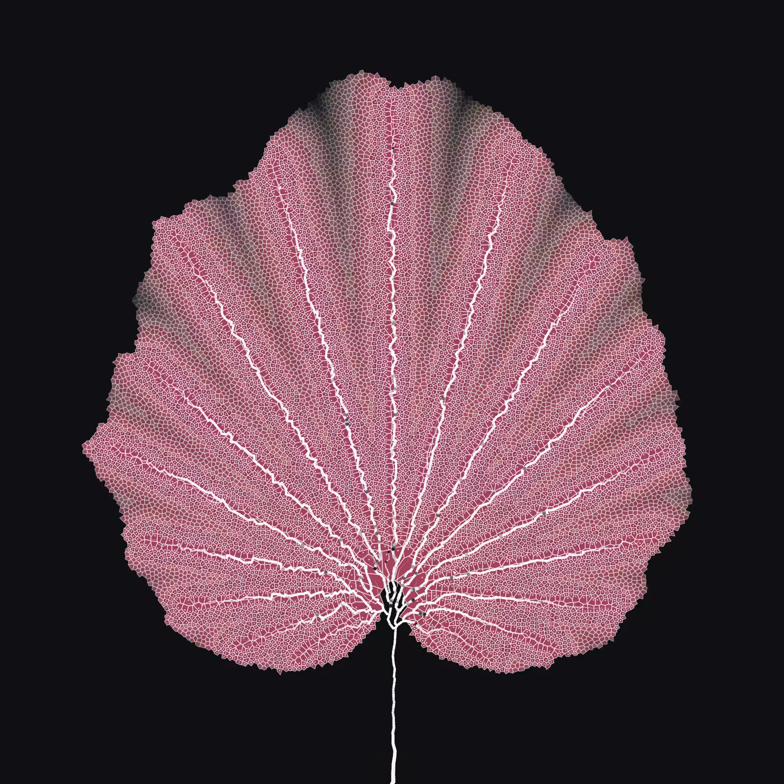 Leaf study #1