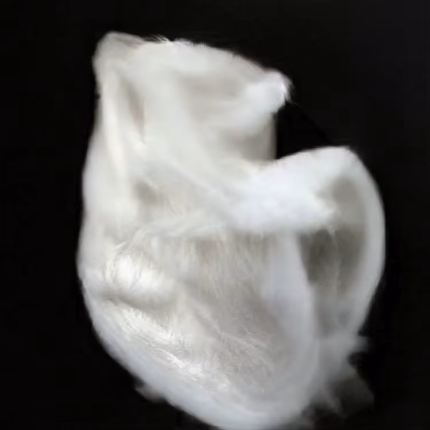 SYNTHETIC HEART