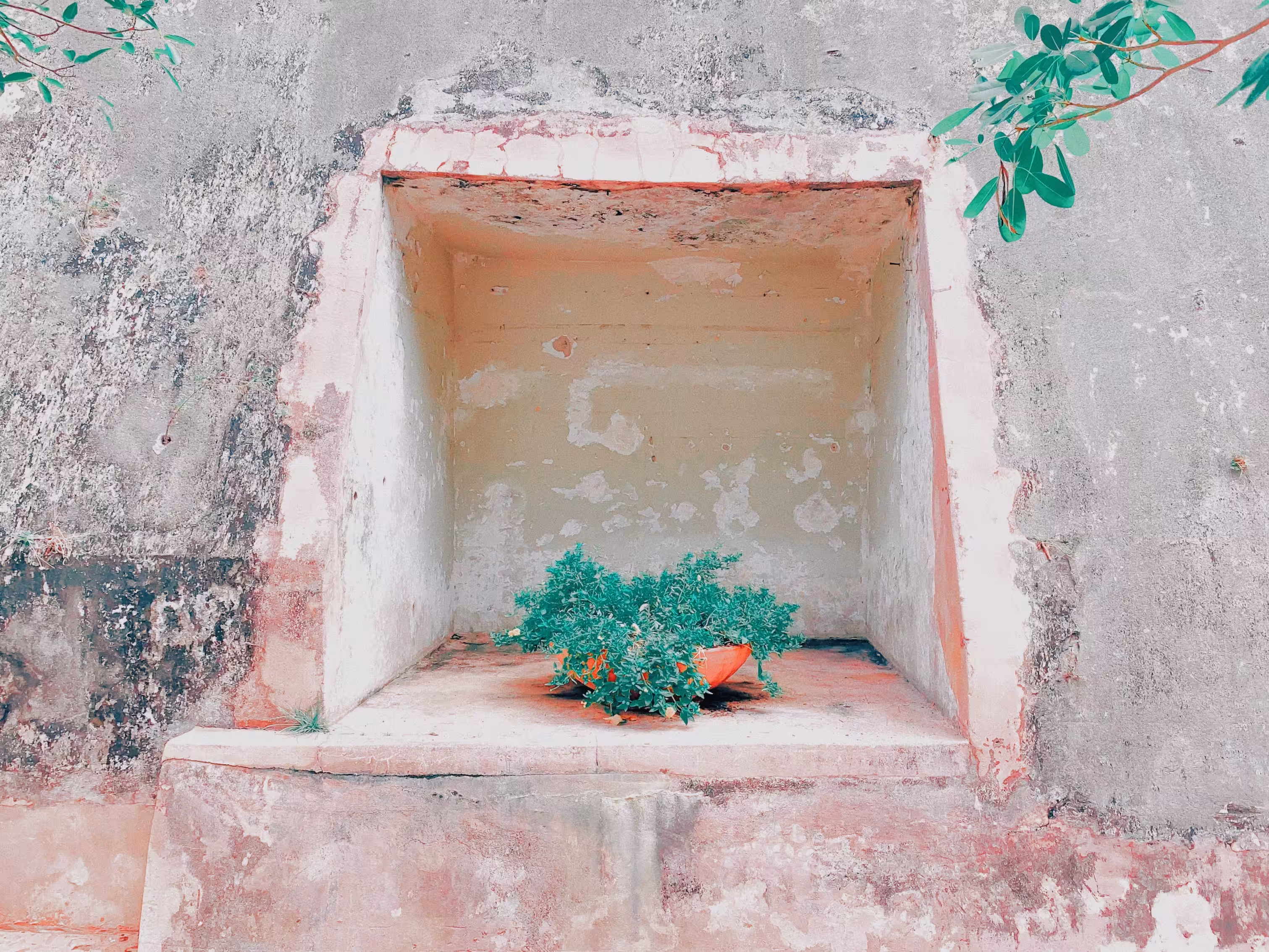 yrdgz_encantada/2019/1
