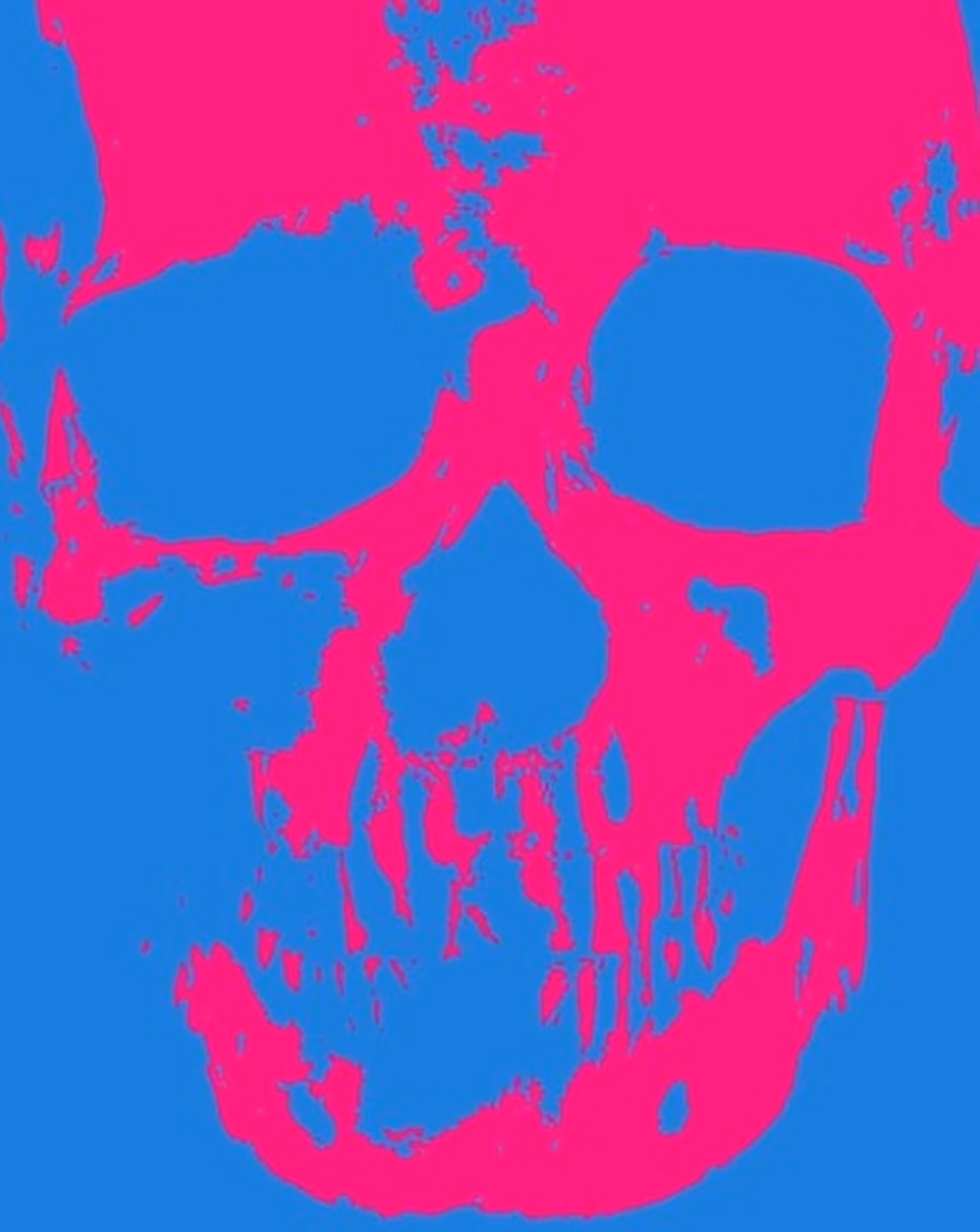 SOLLOG Popart Skull NFT Limited Edition 100 Copies