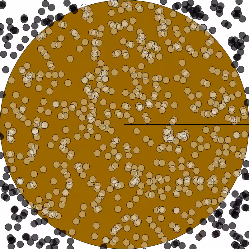 (π) #22