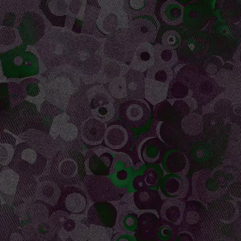 anomalia.12 #65