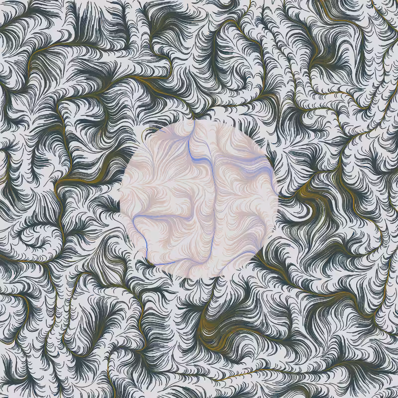 Plains #156