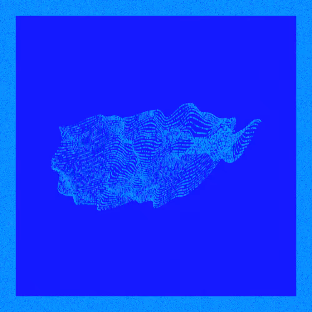 Another Rectangle #64