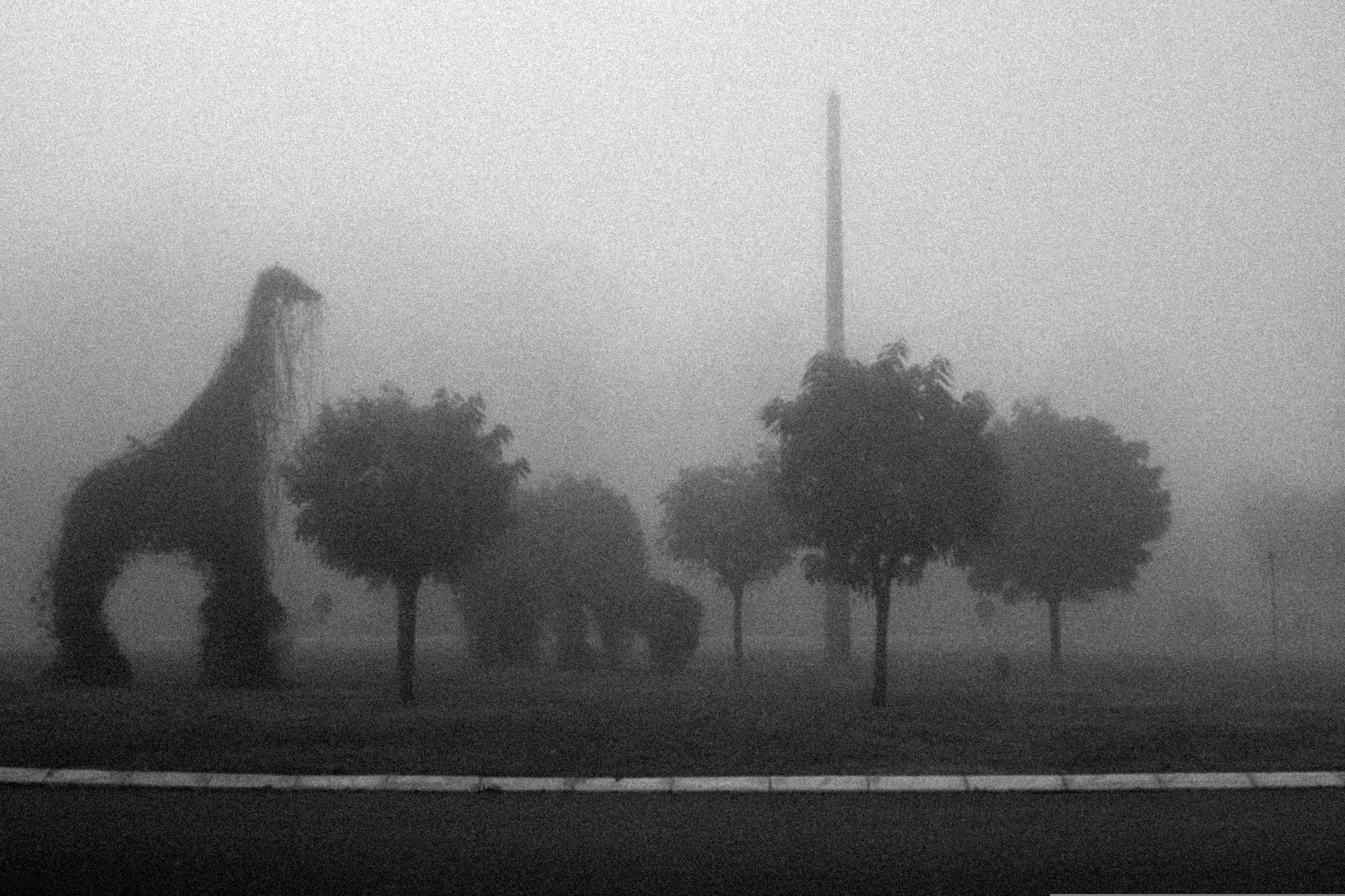 Grainy Fog
