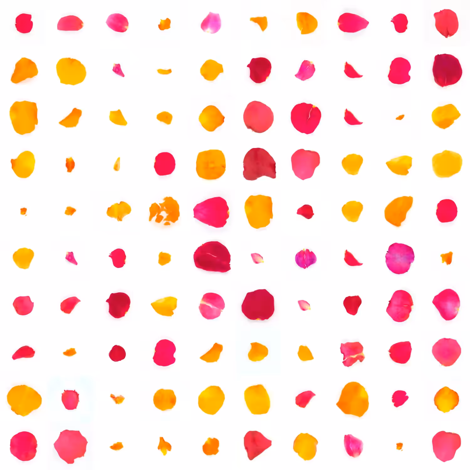 Infinite Petals 10x10#1903