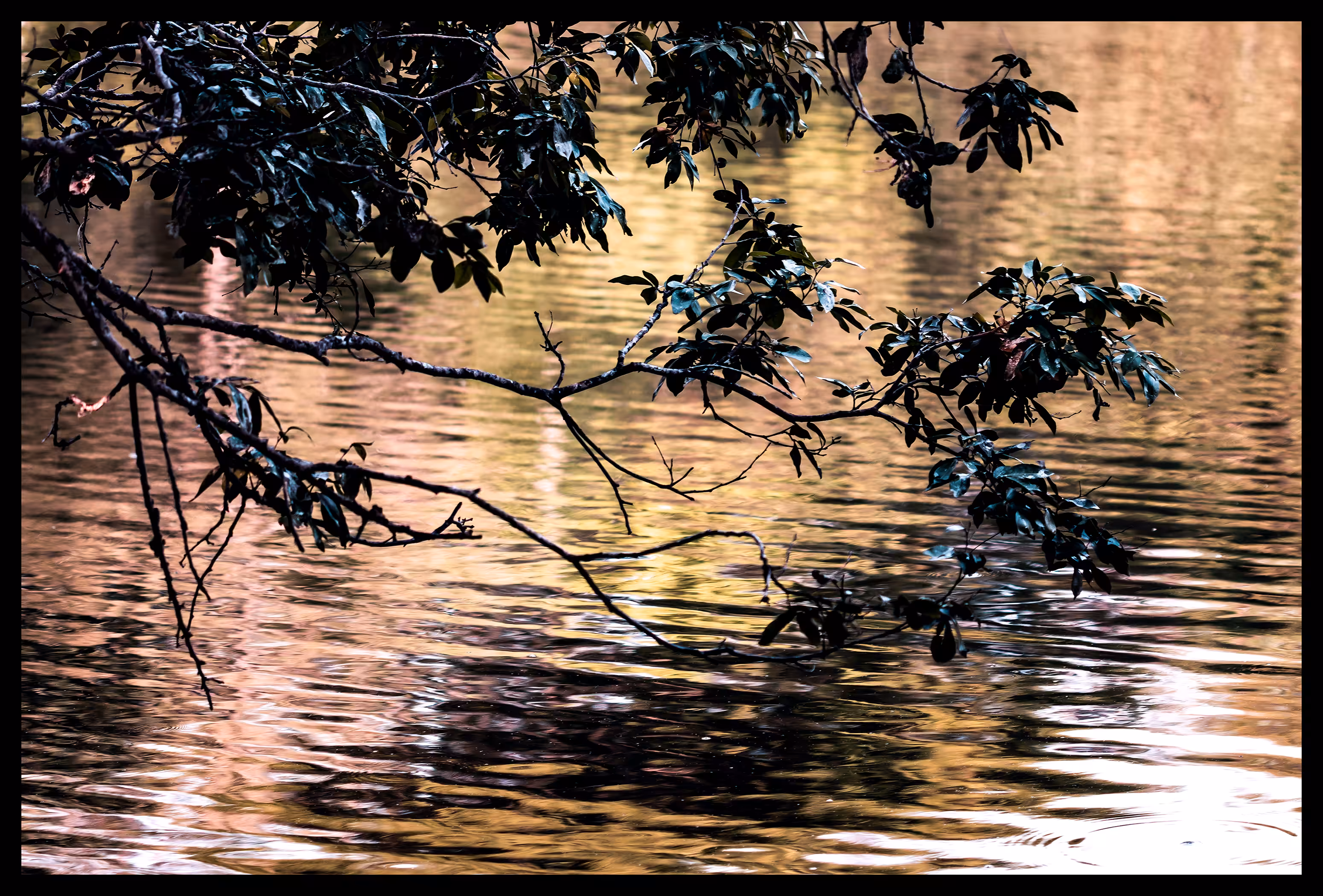 Life flows