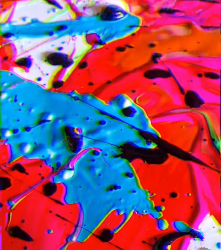 "Distortion" by Citnhia Ponce