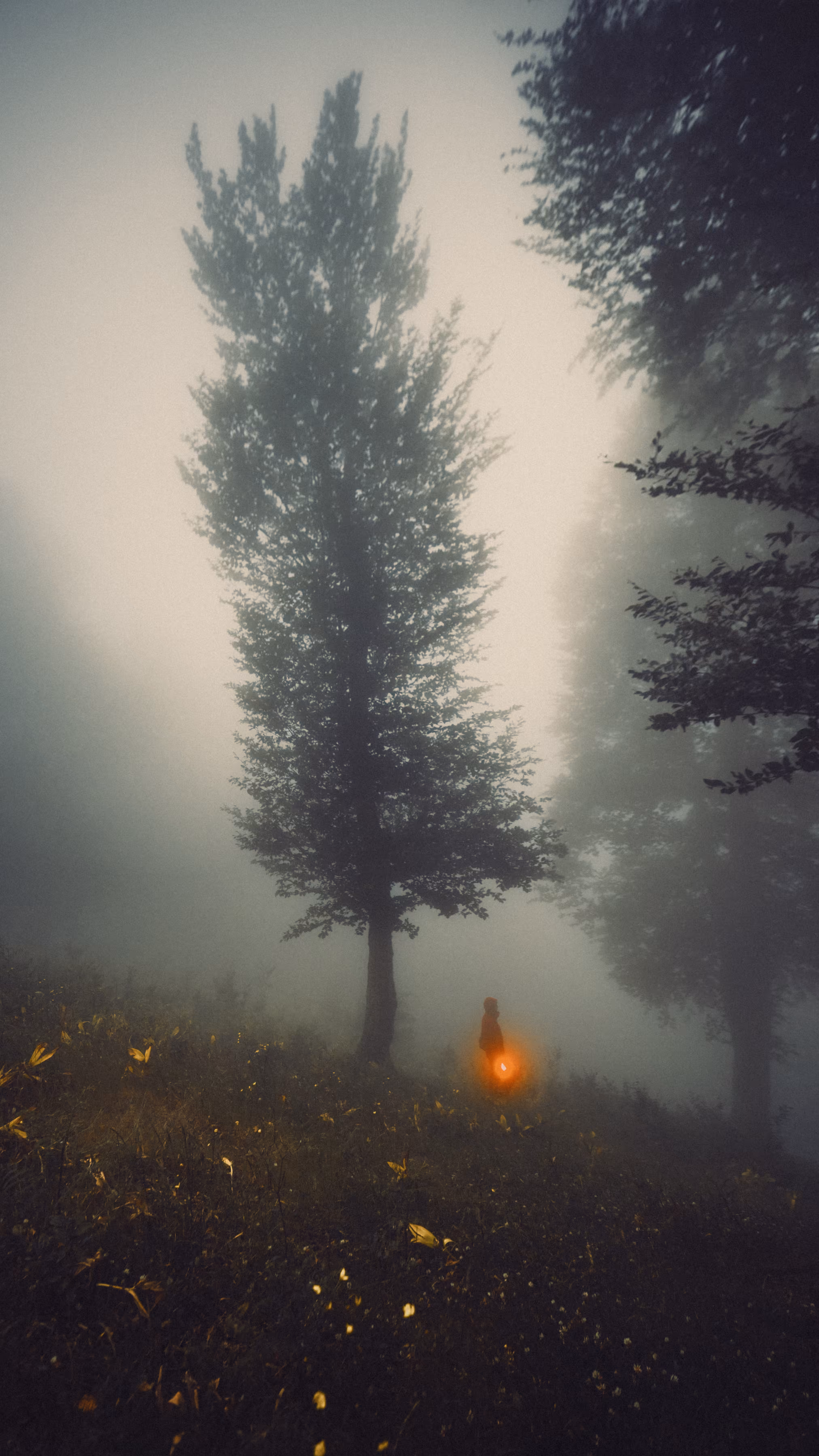loneliness in the fog